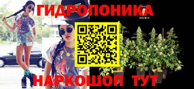 PSILOCYBIN Бугуруслан