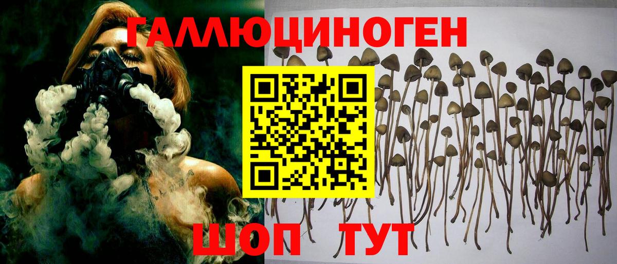 Сочи  Галлюциногенные грибы MAGIC MUSHROOMS  Вход с VPN  купить наркотик  Псилоцибиновые грибы Psilocybe 